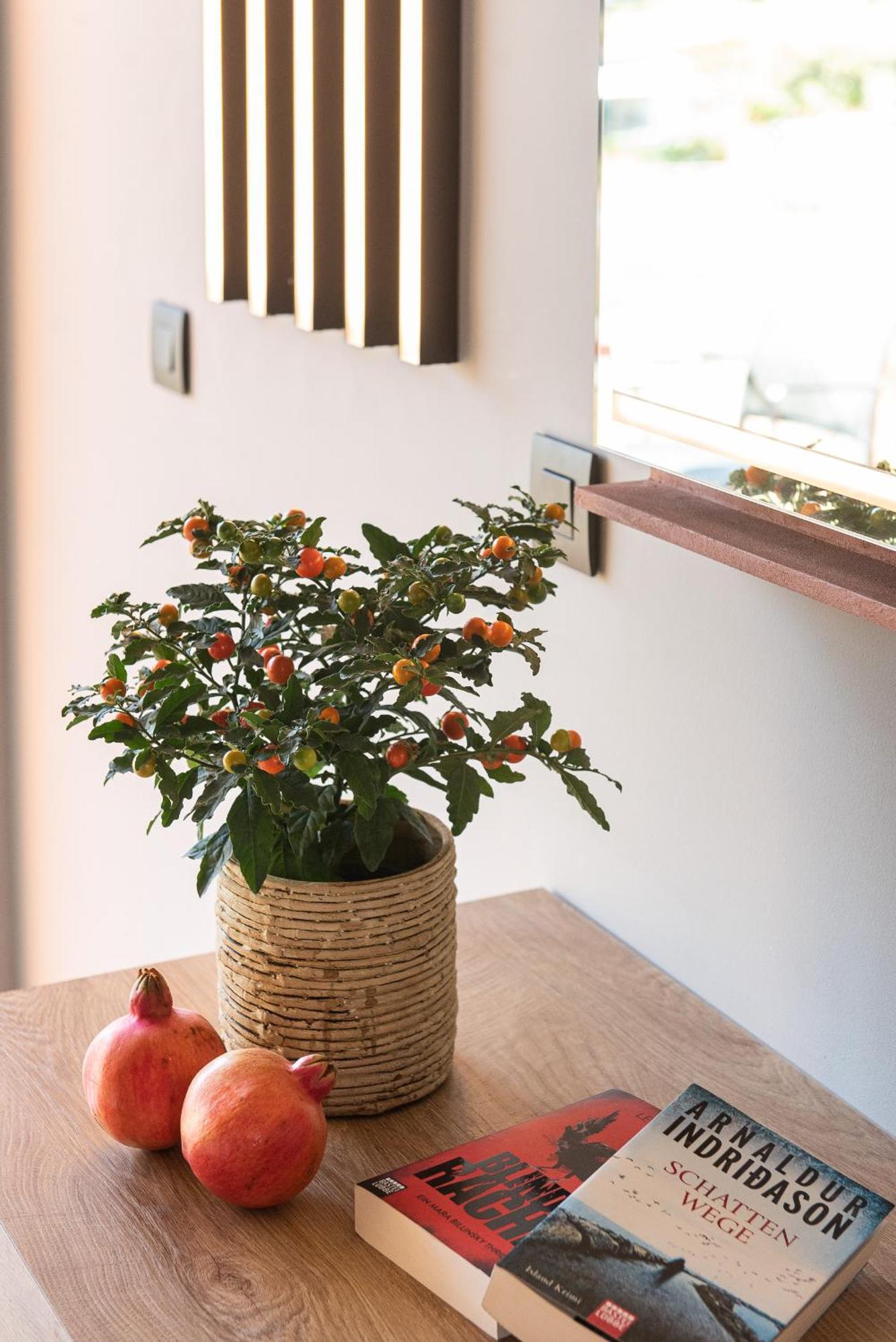 Pilot Amphora Boutique Hotel "Adults Only" ゲオルギオポリス 部屋 写真